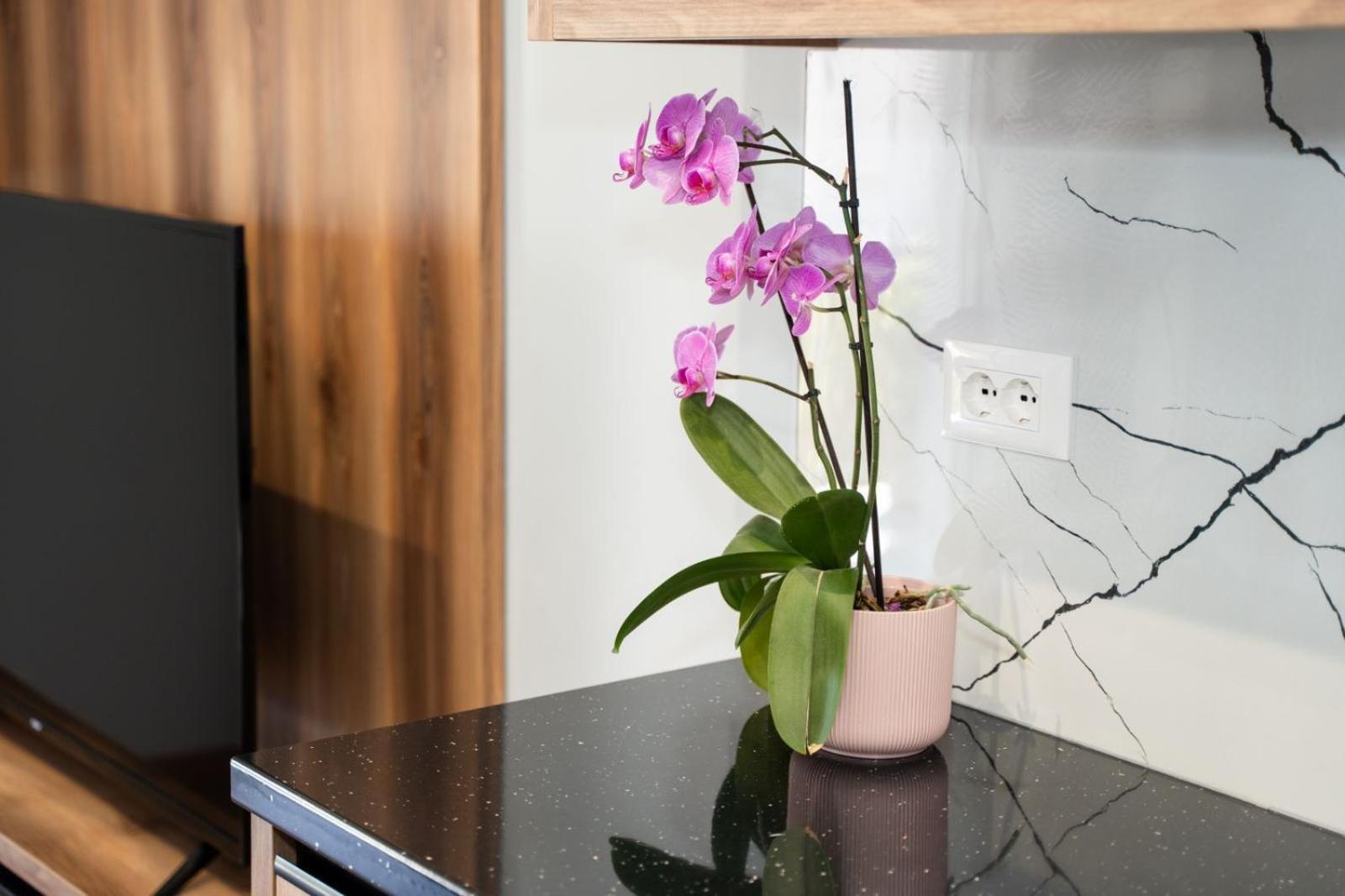 Roel Apartments Saranda Dış mekan fotoğraf